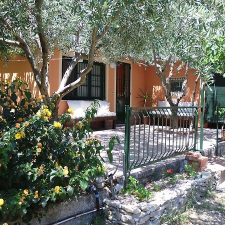 Il Vigneto "Cottage" Gaggi Bilik gambar