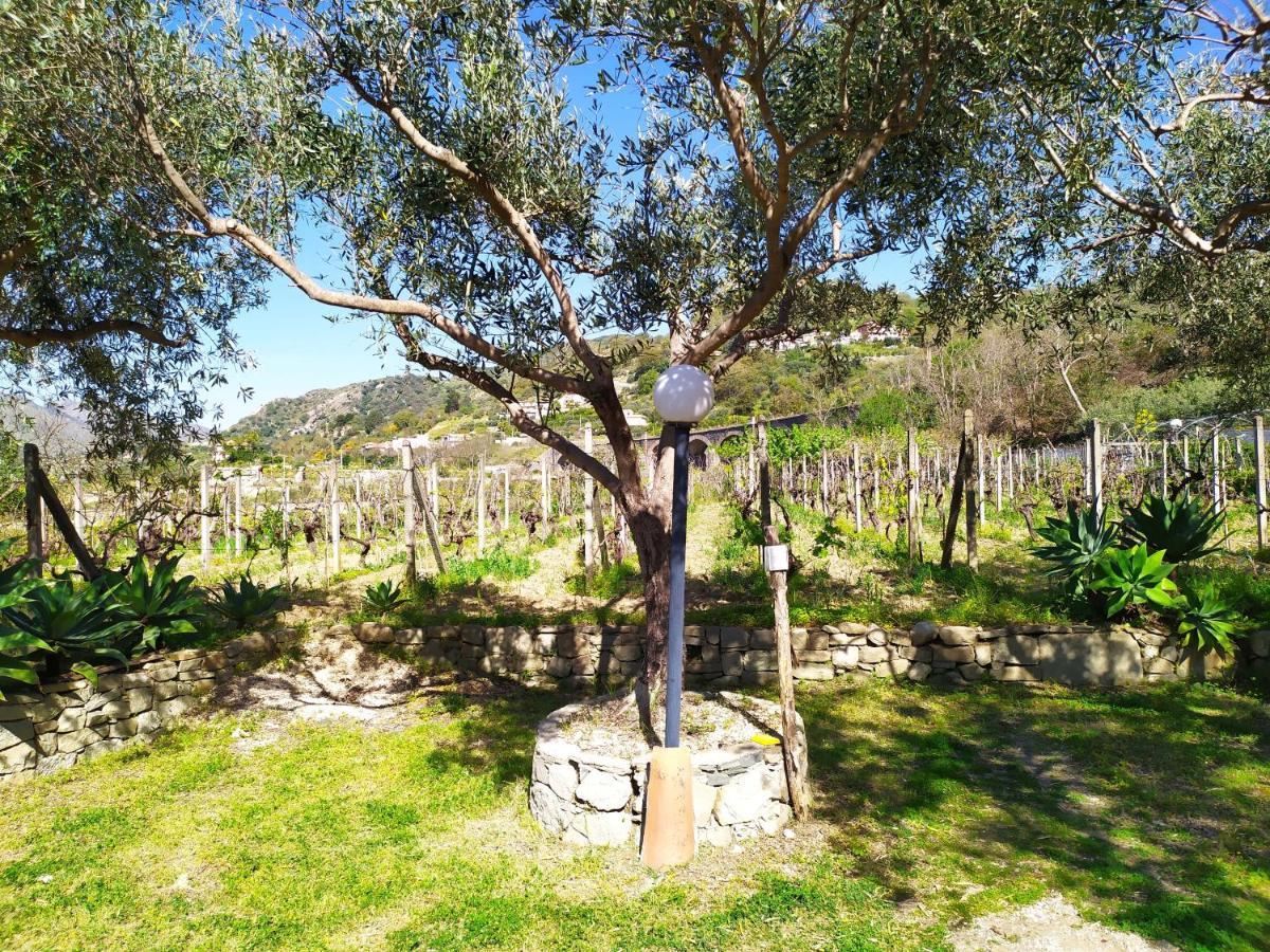 Il Vigneto "Cottage" Gaggi Luaran gambar