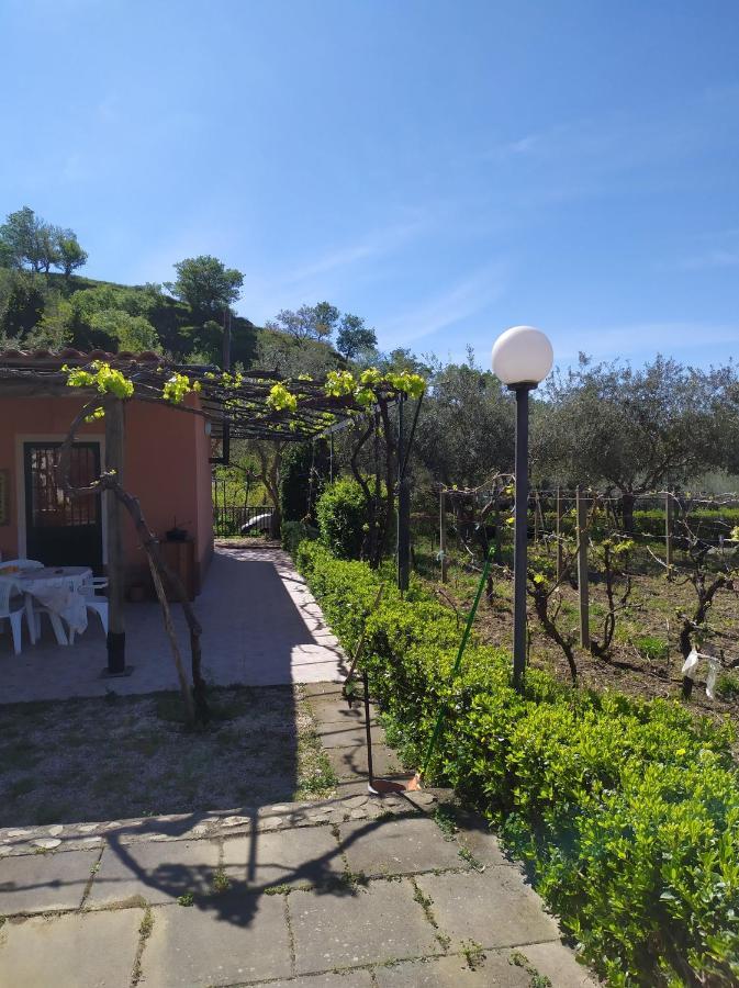 Il Vigneto "Cottage" Gaggi Luaran gambar