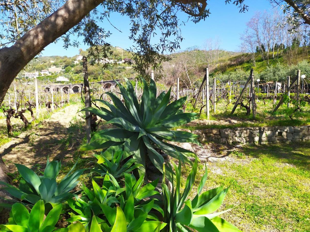 Il Vigneto "Cottage" Gaggi Luaran gambar