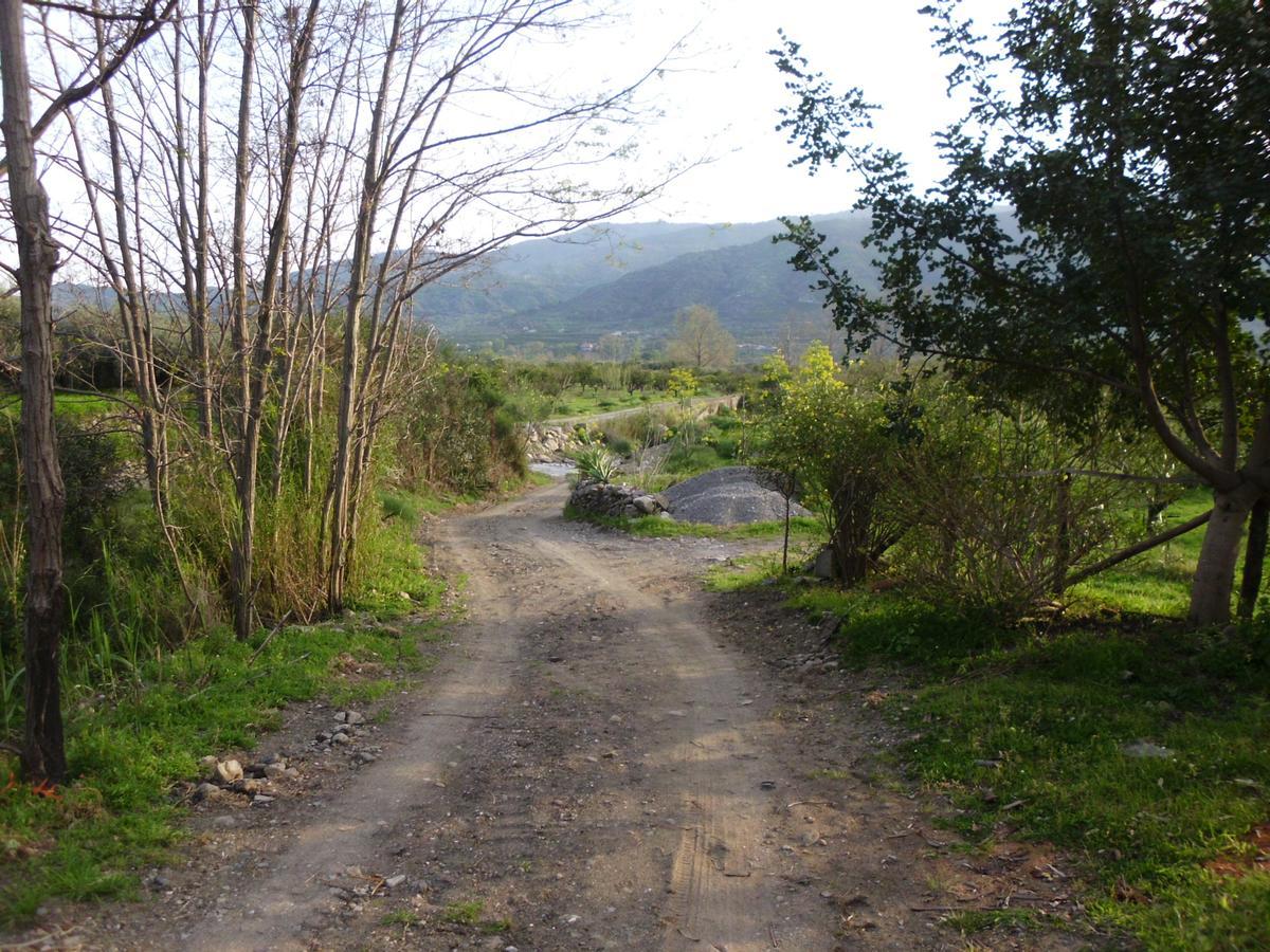 Il Vigneto "Cottage" Gaggi Luaran gambar